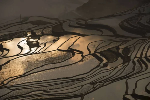 Landschaft Terrassenförmiger Reisfelder Der Yuanyang Reisterrassen Morgennebel Kreis Yuanyang Autonome — Stockfoto