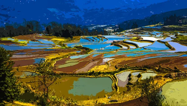 Landscape Terraced Rice Fields Honghe Hani Rice Terraces One Unesco — Stock Photo, Image