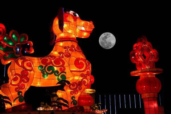 Una Linterna Forma Perro Exhibe Bajo Luna Antes Del Festival —  Fotos de Stock