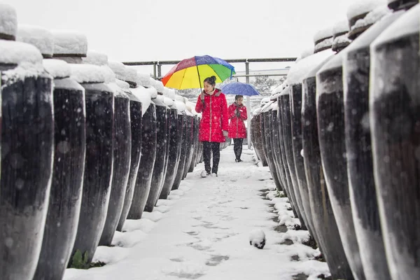 Čínští Dělníci Kontrolují Sněhové Sklenice Octovou Krytou Během Sněžení Octově — Stock fotografie