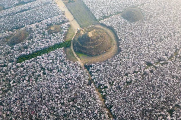 Turistas Residentes Locales Disfrutan Del Jardín 200 000 Metros Cuadrados —  Fotos de Stock