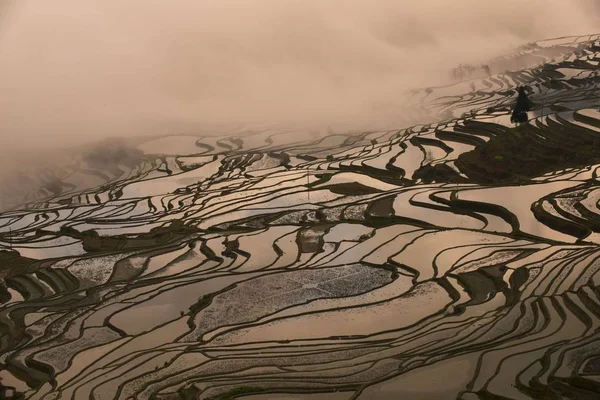 Paisaje Campos Arroz Terrazas Las Terrazas Arroz Yuanyang Niebla Mañana — Foto de Stock