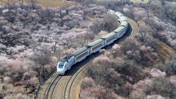 Train Traverse Champ Fleurs Pêche Sauvage Col Juyongguan Grande Muraille — Photo