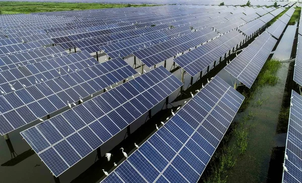농산물 동쪽으로 중국의 2018에에서 태양광 발전소의 — 스톡 사진