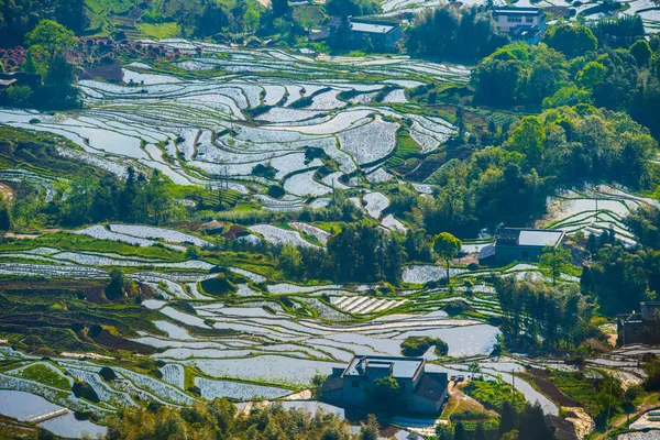 Paisagem Campos Terraços Após Rotação Culturas Condado Xuyong Cidade Luzhou — Fotografia de Stock
