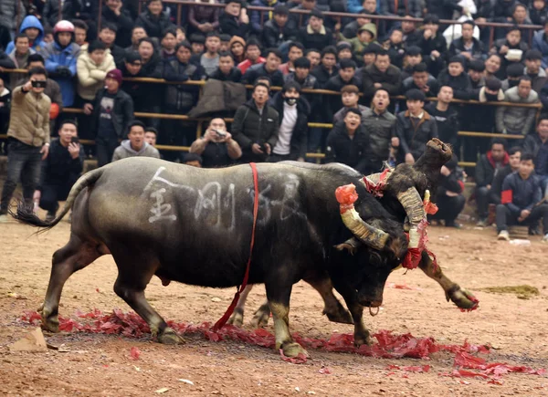 Επισκέπτες Και Ντόπιους Miao Και Dong Εθνικές Μειονότητες Παρακολουθήσετε Μια — Φωτογραφία Αρχείου