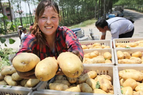 Datei Bauern Laden Kartoffeln Die Sie Der Stadt Lianyungang Der — Stockfoto