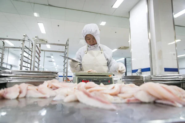 Trabajador Chino Procesa Pescado Una Planta Procesamiento Alimentos Beijing Jingtie — Foto de Stock