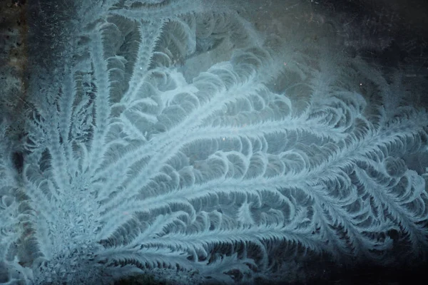 Ice Flowers Seen Pane Glass Window Due Temperature Differences House — Stock Photo, Image