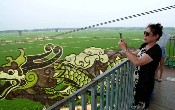 訪問者は 2018 日の中国北東部の遼寧省瀋陽市の水田で表示 フィールド ドラゴンで高騰 と呼ばれる 米水田絵画の写真 — ストック写真