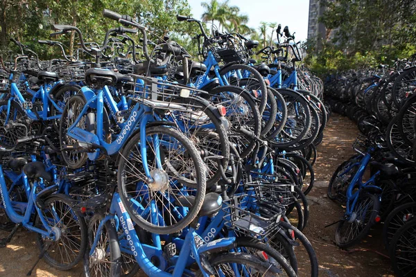 Una Vista Bluegogo Compartió Bicicletas Del Servicio Transporte Taxis Coches —  Fotos de Stock