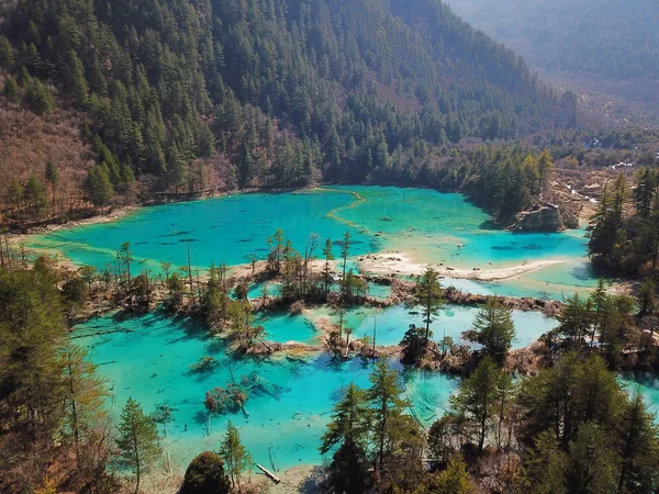 Krajina Šumivé Jezero Údolí Jiuzhaigou Scenic Oblast Jiuzhaigou County Ngawa — Stock fotografie