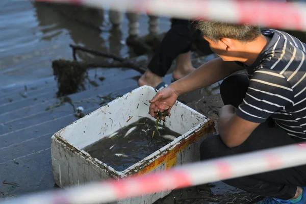 Местные Жители Бросили Сеть Ловить Рыб Вдоль Поднимающейся Воды Реки — стоковое фото
