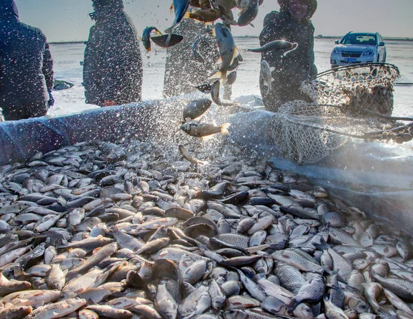 中国北東部の黒龍江省大慶市の Yaoling 湖で冬の釣りシーズン中中国もしかして収穫魚 2018 — ストック写真