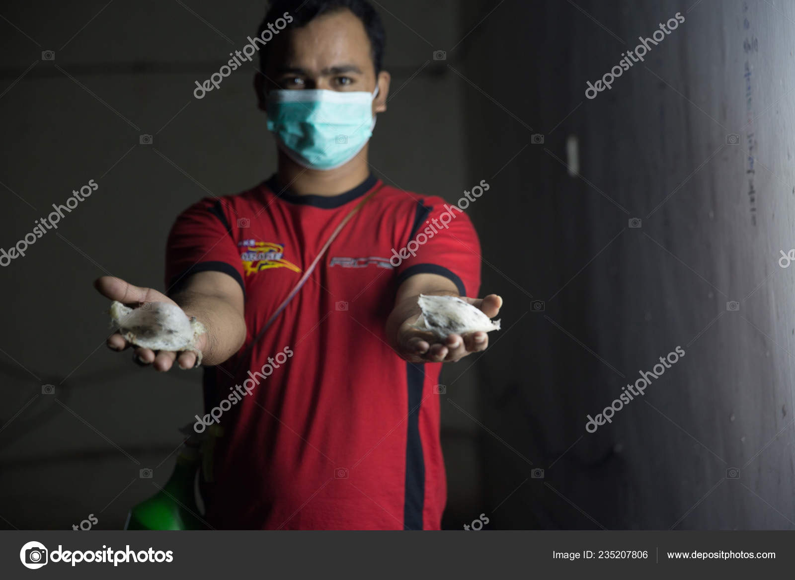 File Worker Shows Edible Bird's Nests Often Called Caviar East Stock