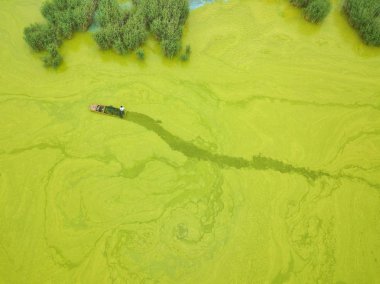 Aerial view of a boat sailing on the Taihu Lake covered by blue-green algae on one side of a causeway in Wuxi city, east China's Jiangsu province, 30 May 2018 clipart