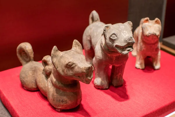 Γλυπτά Σκύλων Της Δυναστείας Han 206 Bcc220 Βρίσκονται Προβολή Κατά — Φωτογραφία Αρχείου