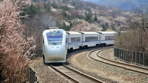 Vonat Fut Területen Vadon Élő Őszibarack Virágok Juyongguan Hágó Nagy — Stock Fotó