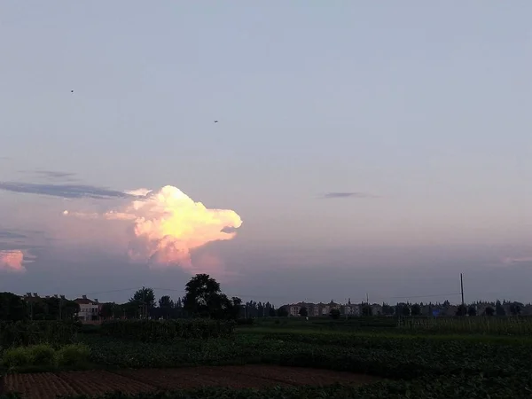 Nubes Forma Águila Enrojecen Atardecer Cielo Sobre Ciudad Xiaogan Provincia —  Fotos de Stock