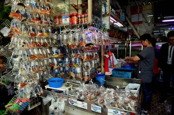 Los Peces Los Artículos Acuáticos Venden Bolsas Plástico Una Tienda —  Fotos de Stock
