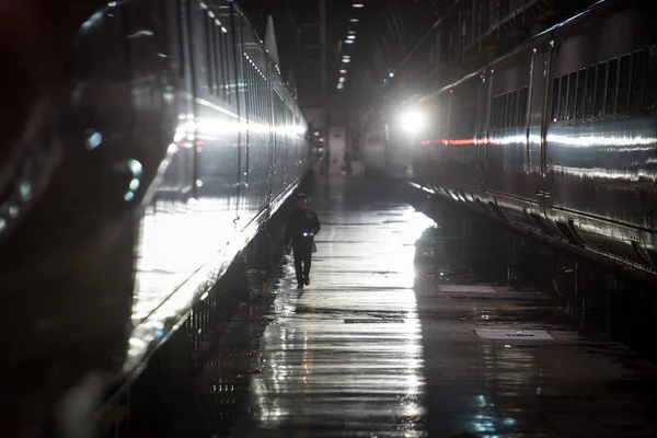 Seorang Pekerja Cina Memeriksa Kereta Peluru Crh China Railway High — Stok Foto