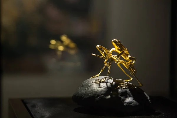 2018년 10일 저장성 항저우시의 미술관에서 열리는 전시회에서 조각가 Ching 개구리 — 스톡 사진