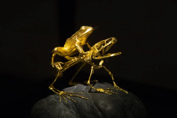 Gyllene Konstverk Form Grodor Som Skapats Taiwanesiska Skulptören Ching Displayen — Stockfoto