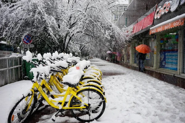 Les Vélos Service Chinois Partage Vélos Ofo Sont Couverts Neige — Photo