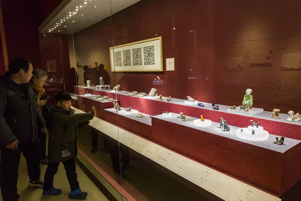 Menschen Besuchen Die Ausstellung Des Glückshundes Nanjing Museum Der Stadt — Stockfoto