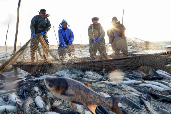 Pescatori Cinesi Pescano Pesce Lago Xiandeng Durante Pesca Invernale Nella — Foto Stock
