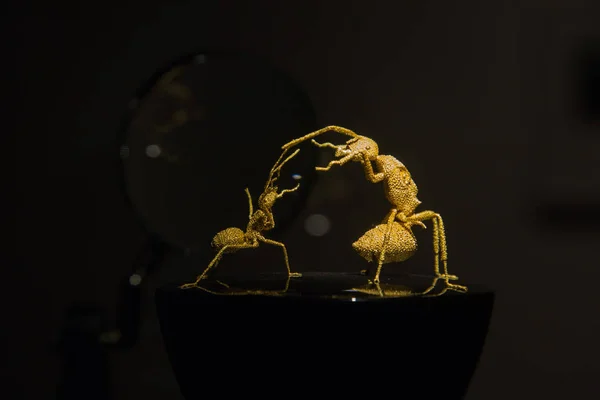 Obras Arte Oro Forma Hormigas Creadas Por Escultor Taiwanés Ching — Foto de Stock