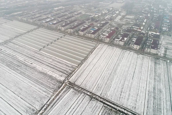 Huaiyin Ilçesinde Yoğun Kar Fırtınası Nın Ardından Bir Tarım Arazisi — Stok fotoğraf