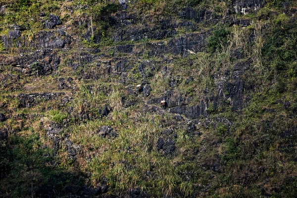 Una Vista Aldea Del Acantilado Entre Las Montañas Aldea Nongli —  Fotos de Stock