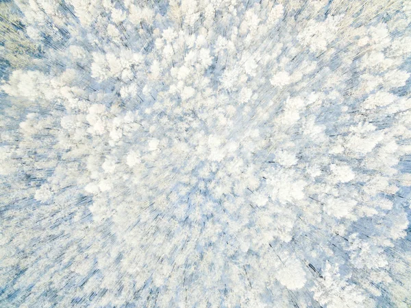 Paesaggio Una Montagna Ricoperta Neve Nella Città Arxan Regione Autonoma — Foto Stock