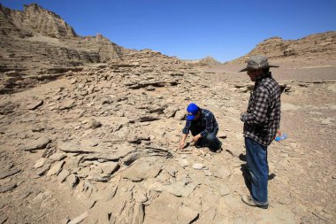 --FILE--Chinese paleontologist Wang Xiaolin and his colleague excavate the three-dimensionally preserved eggs and fossils of pterosaurs, known as Hamipterus tianshanensis, from an excavation site at the Gobi Desert in Hami city, northwest China's Xin clipart
