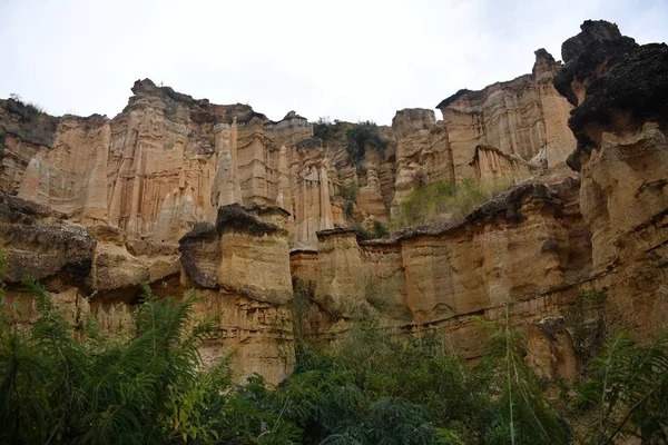 Paysage Forêt Terrestre Yuanmou Qui Est Tulin Chinois Dans Comté — Photo