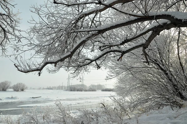 Sneeuw Landschap Van Rivier Zhadun Yakeshi Van Hulunbuir Noord China — Stockfoto