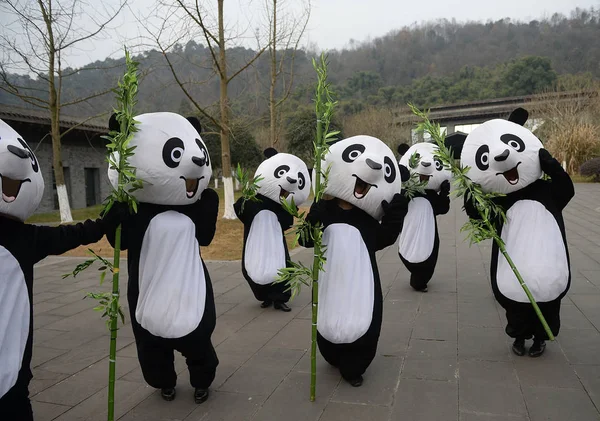 Comederos Chinos Vestidos Con Trajes Panda Despiden Los Pandas Gigantes — Foto de Stock