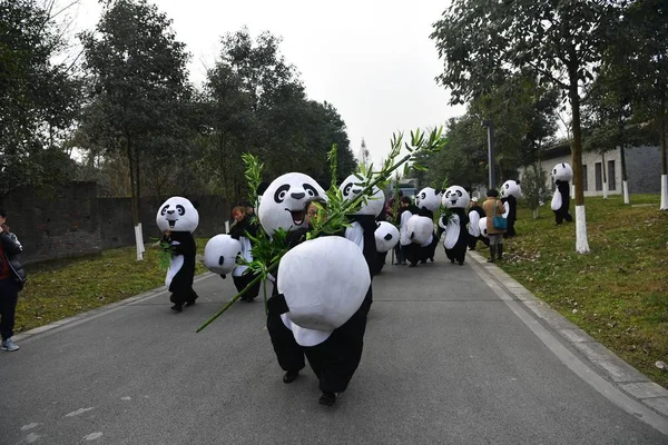 Comederos Chinos Vestidos Con Trajes Panda Despiden Los Pandas Gigantes — Foto de Stock