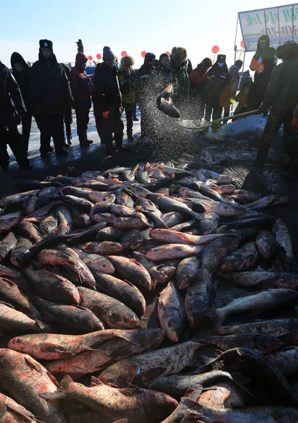 Kínai Halászok Betakarítás Jéggel Borított Lianhuan Tóból Származó Lianhuan Halászati — Stock Fotó