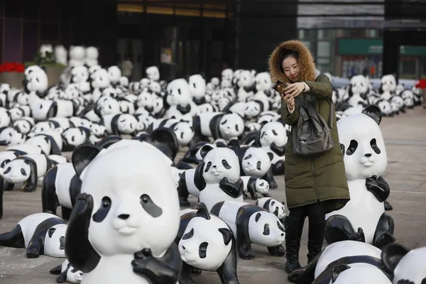 Visitante Toma Fotos Esculturas Gigantes Panda Una Plaza Ciudad Changchun —  Fotos de Stock