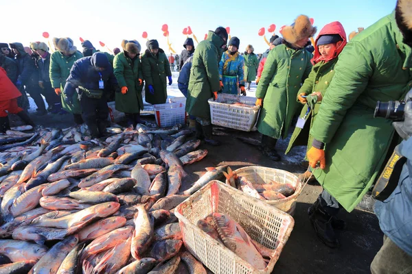 Pescadores Chineses Colhem Peixes Lago Lianhuan Coberto Gelo Durante Segundo — Fotografia de Stock