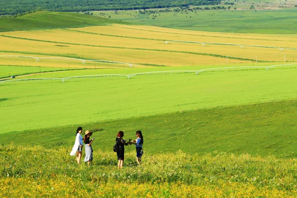 Krajina Ostrově Hulunbuir Grassland Severočínské Vnitřní Mongolsko Autonomní Oblasti Srpen — Stock fotografie