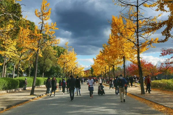 Kínai Turisták Élvezik Szép Őszi Lombozat Gingko Fák Juharfák Utca — Stock Fotó