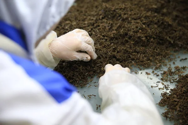 Trabalhador Chinês Verifica Ingredientes Para Refeições Trem Alta Velocidade Uma — Fotografia de Stock