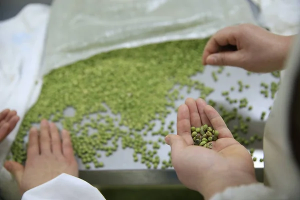 Chinesische Arbeiter Prüfen Zutaten Für Mahlzeiten Hochgeschwindigkeitszug Einem Lebensmittelverarbeitungsbetrieb Der — Stockfoto
