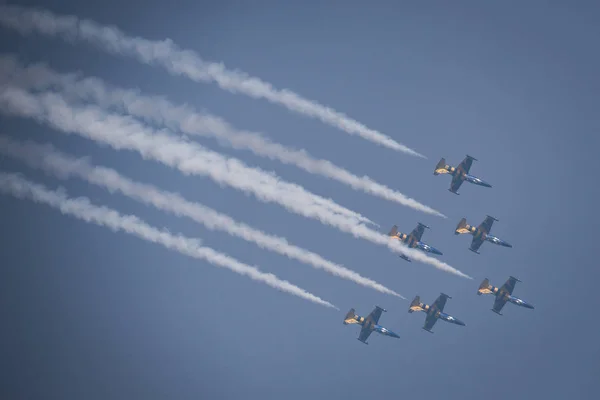 Latvian Aerobatics Wingwalking Team Baltic Bees Perform Acrobatics Flying Plane — 图库照片