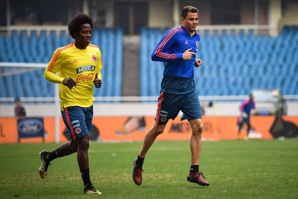 Colombiaanse Voetballer Giovanni Moreno Recht Van Shanghai Groenland Shenhua Colombiaanse — Stockfoto