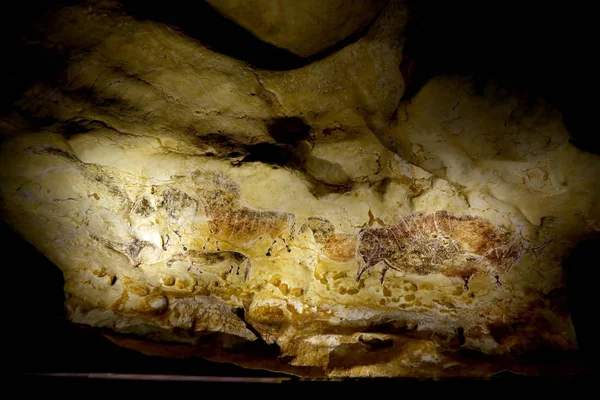 Vista Uma Réplica Arte Cabras Das Cavernas Lascaux Exposição Museu — Fotografia de Stock