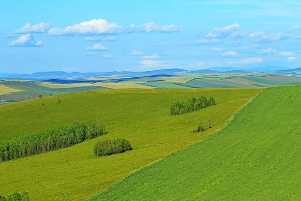 Krajina Ostrově Hulunbuir Grassland Severočínské Vnitřní Mongolsko Autonomní Oblasti Srpen — Stock fotografie